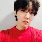 Hobihope Profile Picture