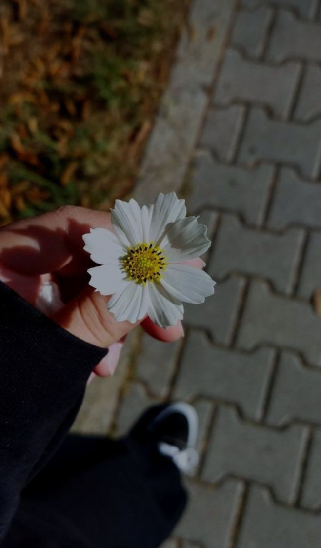 Peace Akpa Profile Picture