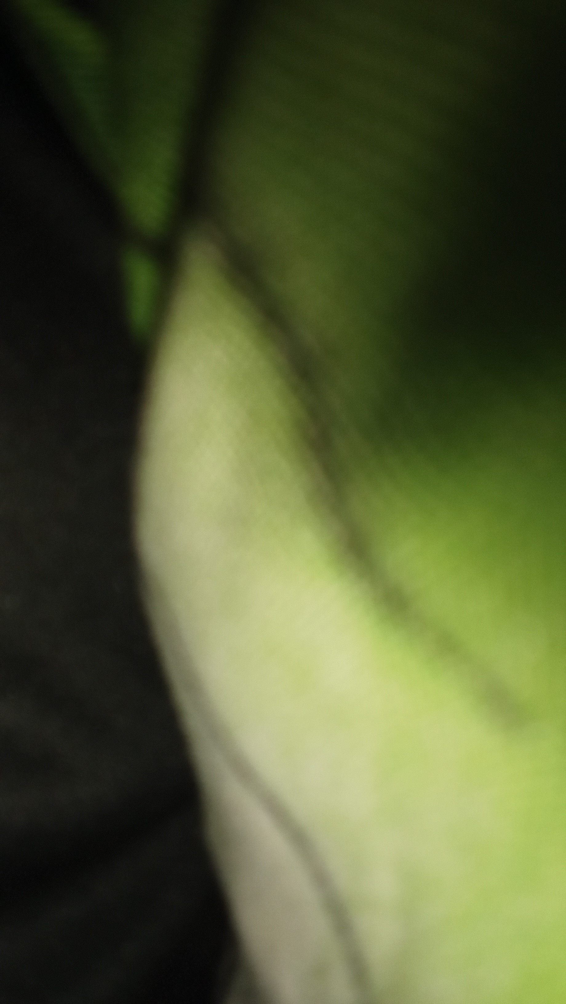 Chijioke Victoria Profile Picture